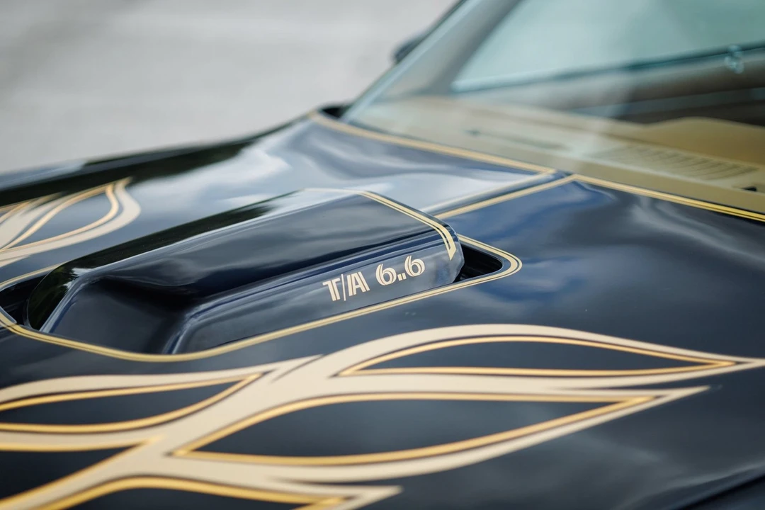1978 Pontiac Firebird Trans Am 2nd Gen - Image 24 of 31