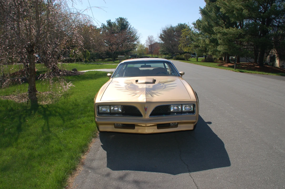 1978 Pontiac Firebird Trans Am 2nd Gen - Image 20 of 31