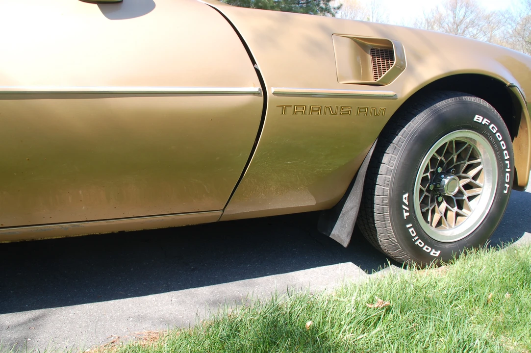 1978 Pontiac Firebird Trans Am 2nd Gen - Image 28 of 31