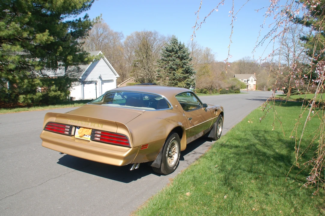 1978 Pontiac Firebird Trans Am 2nd Gen - Image 10 of 31