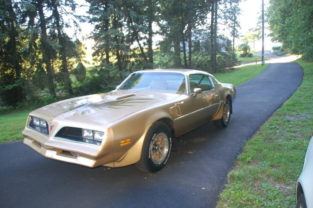 1978 Pontiac Firebird Trans Am 2nd Gen - Image 2 of 31