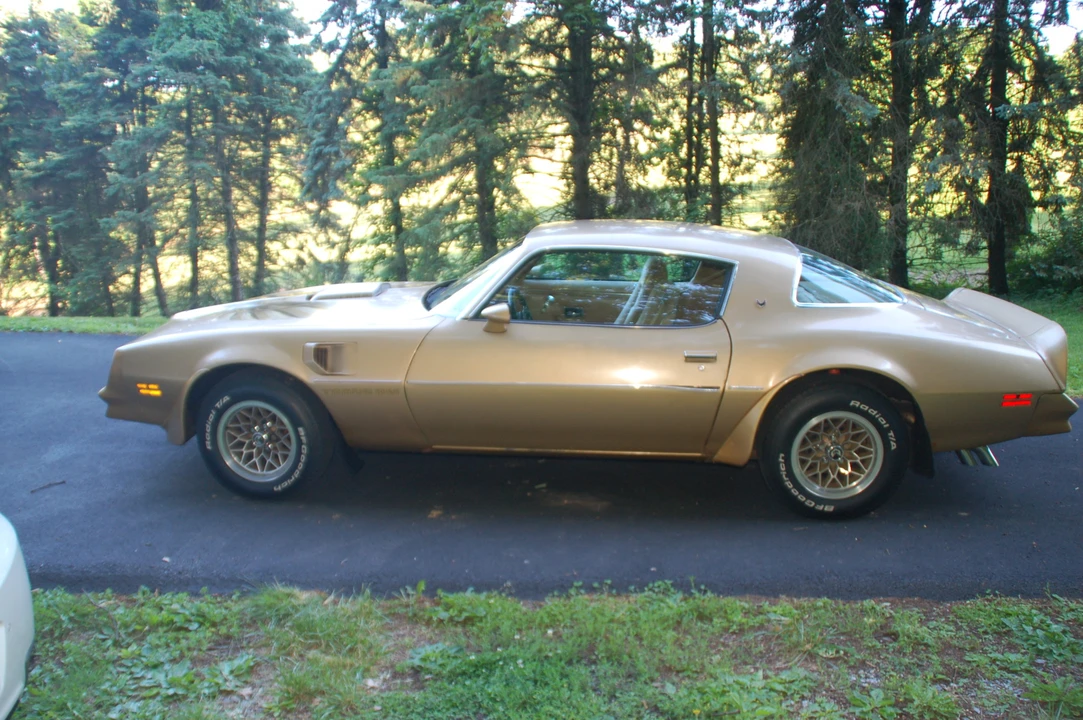 1978 Pontiac Firebird Trans Am 2nd Gen - Image 6 of 31