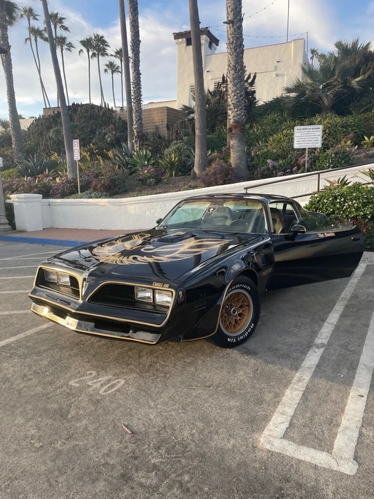 1978 Pontiac Firebird 2nd Gen - Image 3 of 18