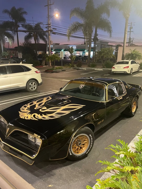 1978 Pontiac Firebird 2nd Gen - Image 8 of 18