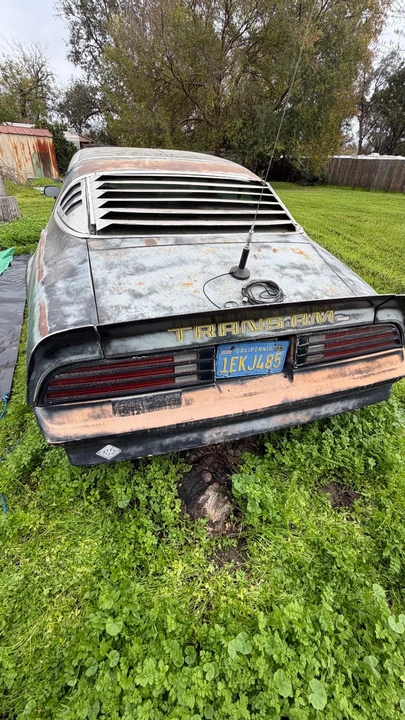 1978 Pontiac Firebird Trans Am 2nd Gen - Image 3 of 16