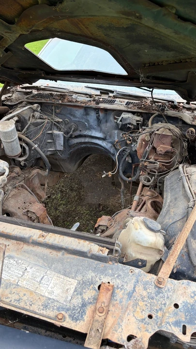 1978 Pontiac Firebird Trans Am 2nd Gen - Image 12 of 16
