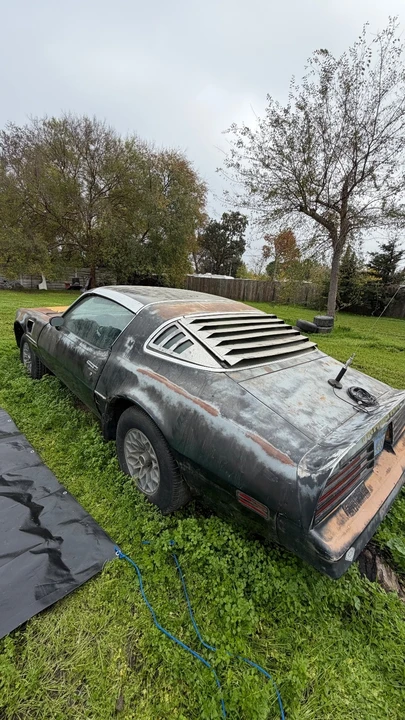 1978 Pontiac Firebird Trans Am 2nd Gen - Image 2 of 16