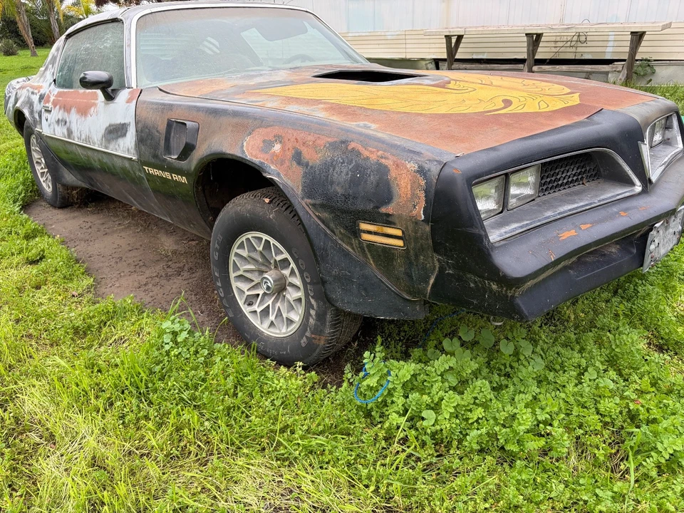 1978 Pontiac Firebird Trans Am 2nd Gen - Image 6 of 16