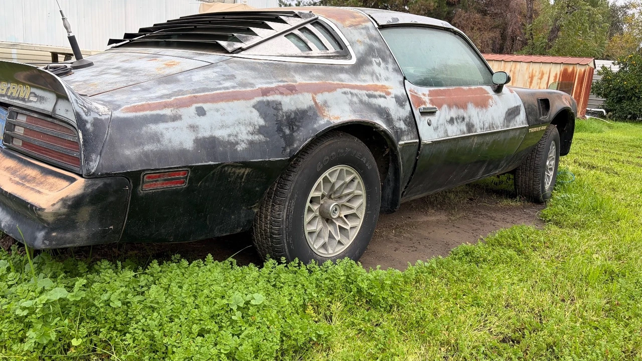 1978 Pontiac Firebird Trans Am 2nd Gen - Image 5 of 16