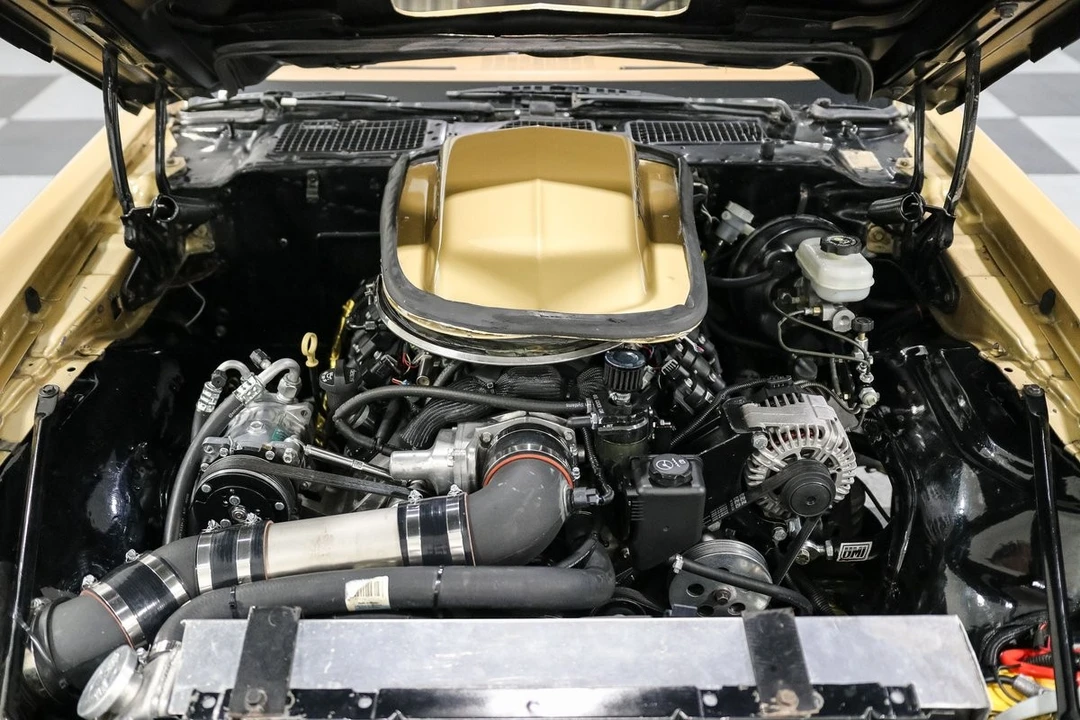 1978 Pontiac Firebird Trans Am 2nd Gen - Image 25 of 31