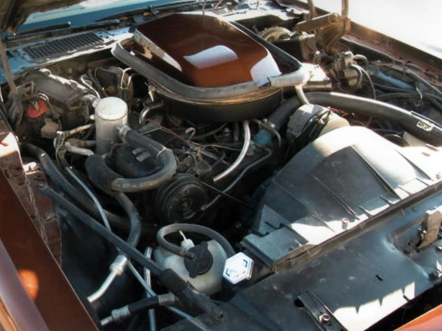 1978 Pontiac Firebird Trans Am 2nd Gen - Image 6 of 8