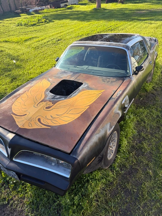 1978 Pontiac Firebird Trans Am 2nd Gen - Image 7 of 19