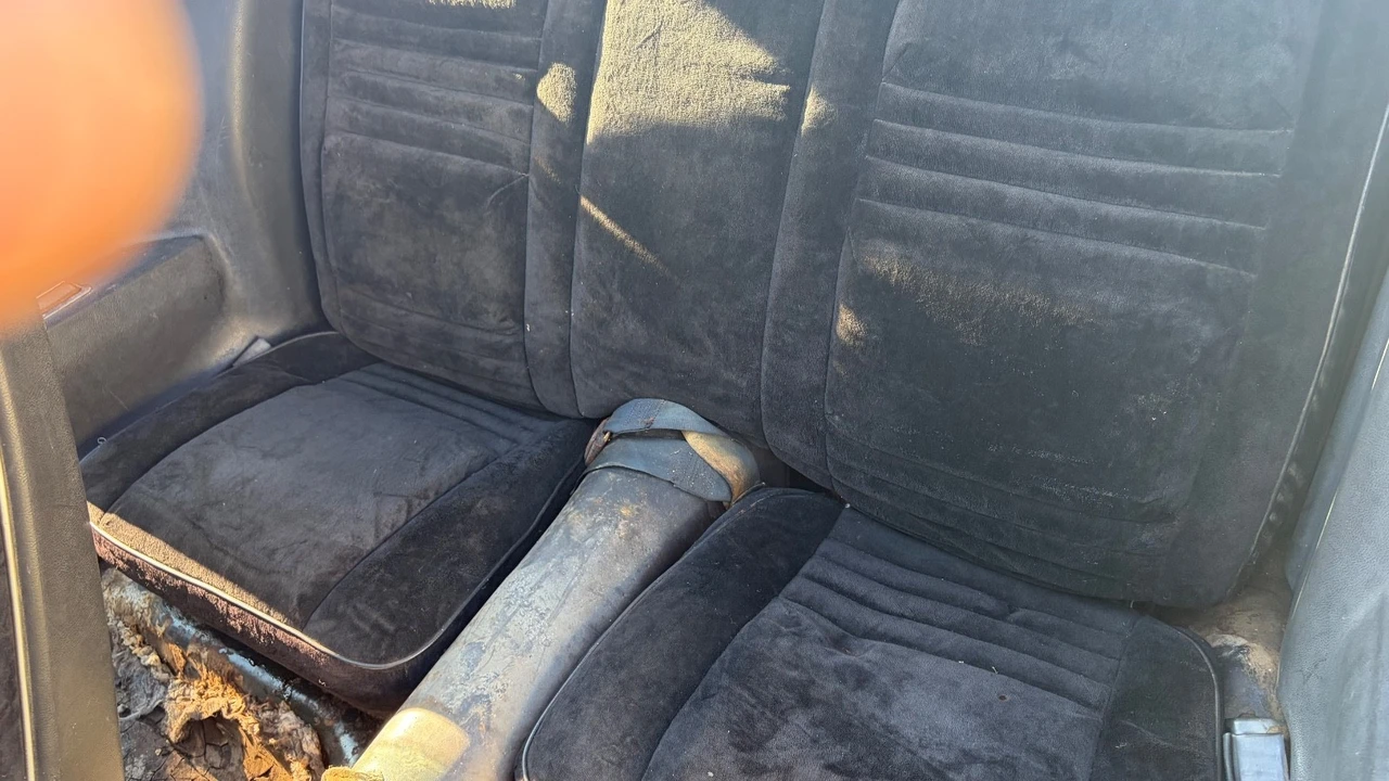 1978 Pontiac Firebird Trans Am 2nd Gen - Image 12 of 19