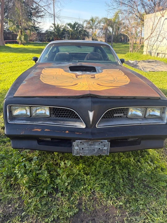 1978 Pontiac Firebird Trans Am 2nd Gen - Image 5 of 19
