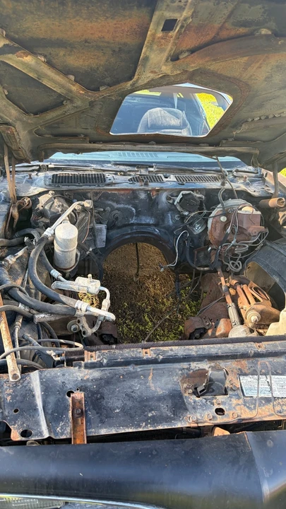 1978 Pontiac Firebird Trans Am 2nd Gen - Image 14 of 19