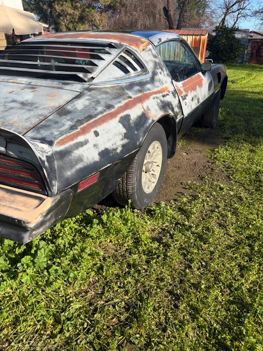 1978 Pontiac Firebird Trans Am 2nd Gen - Image 8 of 19