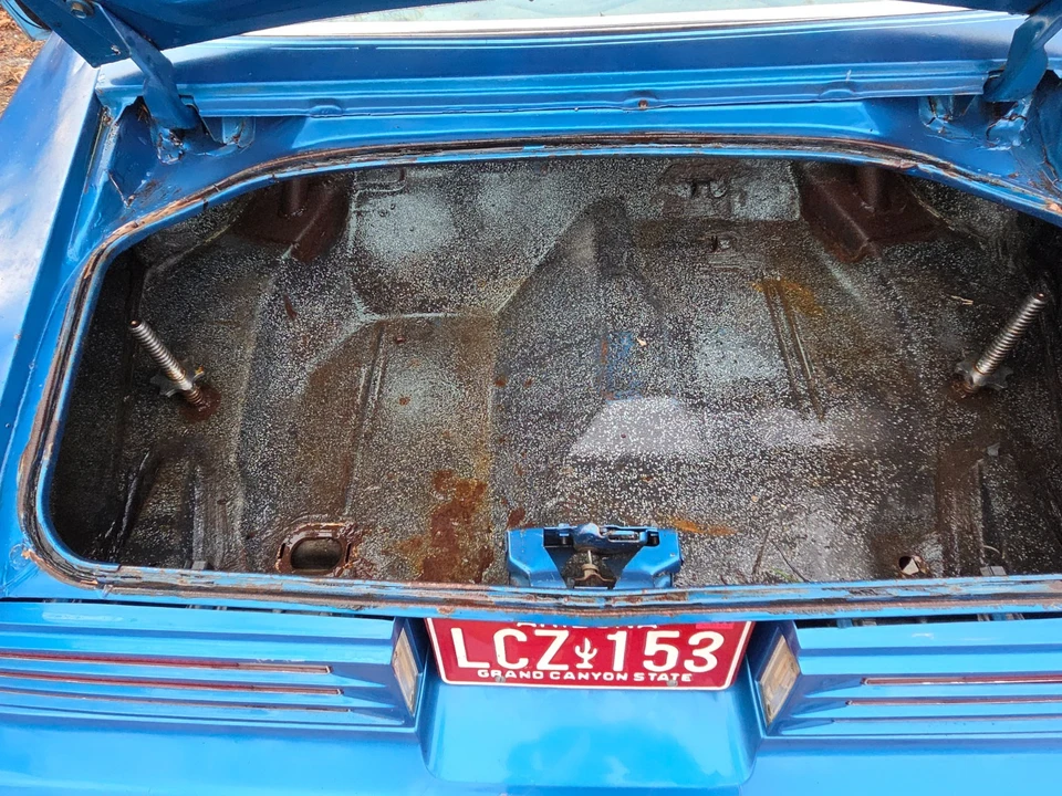 1978 Pontiac Firebird Trans Am 2nd Gen - Image 15 of 21