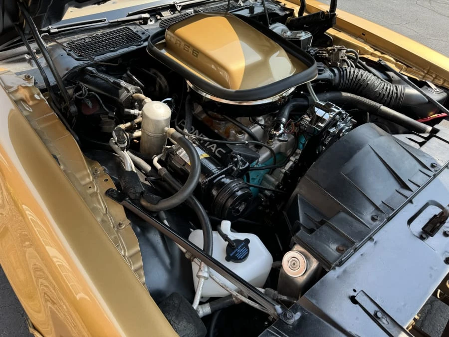 1978 Pontiac Firebird Trans Am 2nd Gen - Image 9 of 10