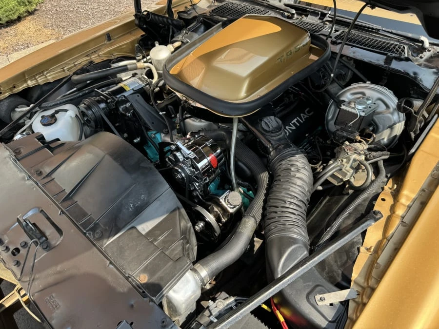 1978 Pontiac Firebird Trans Am 2nd Gen - Image 8 of 10