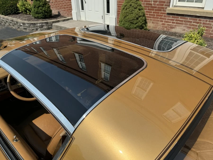 1978 Pontiac Firebird Trans Am 2nd Gen - Image 4 of 10