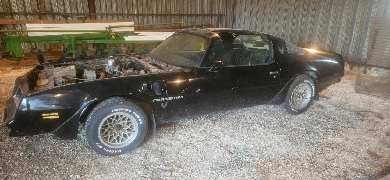 1978 Pontiac Firebird Trans Am 2nd Gen - Image 11 of 16