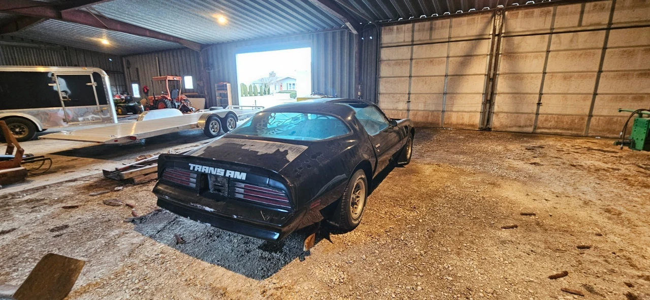 1978 Pontiac Firebird Trans Am 2nd Gen - Image 10 of 16