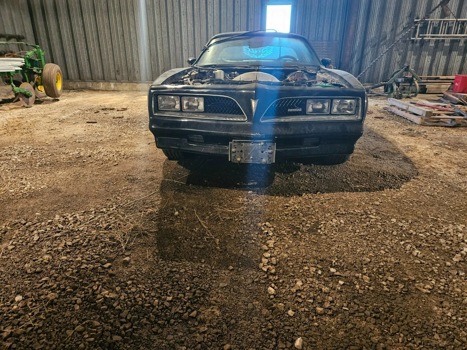 1978 Pontiac Firebird Trans Am 2nd Gen - Image 6 of 16