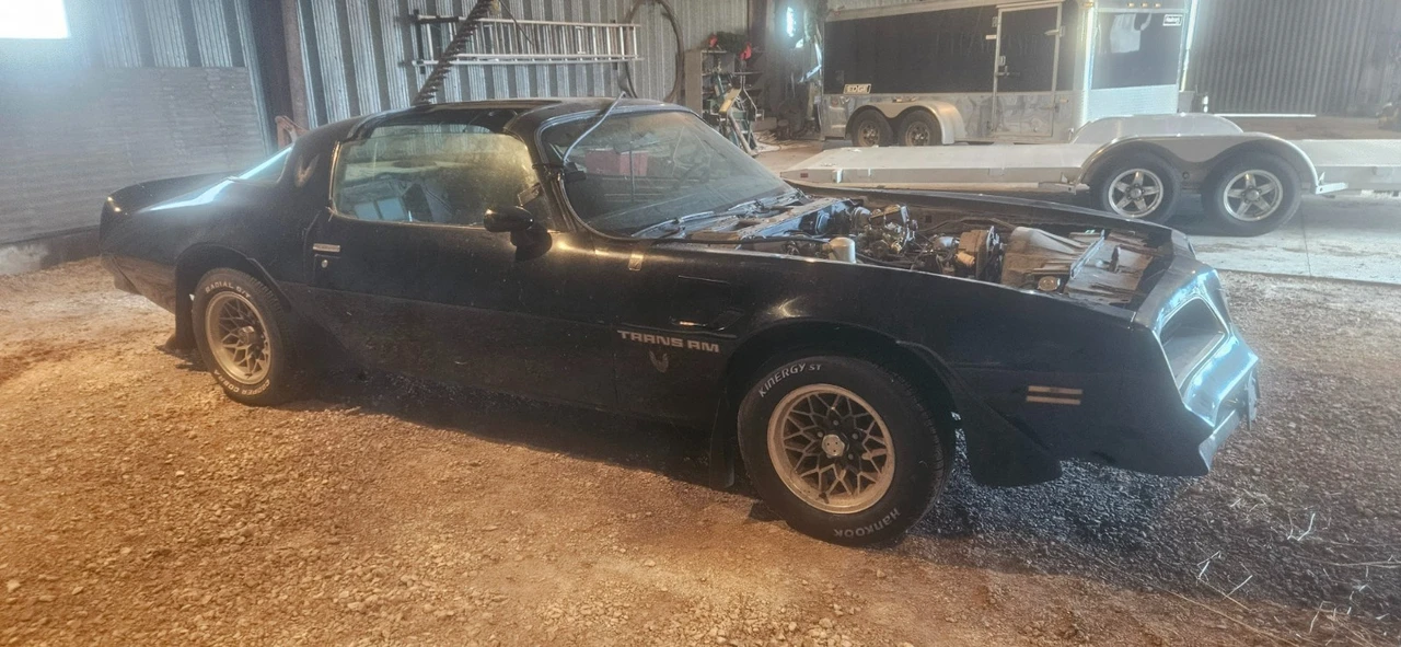 1978 Pontiac Firebird Trans Am 2nd Gen - Image 12 of 16
