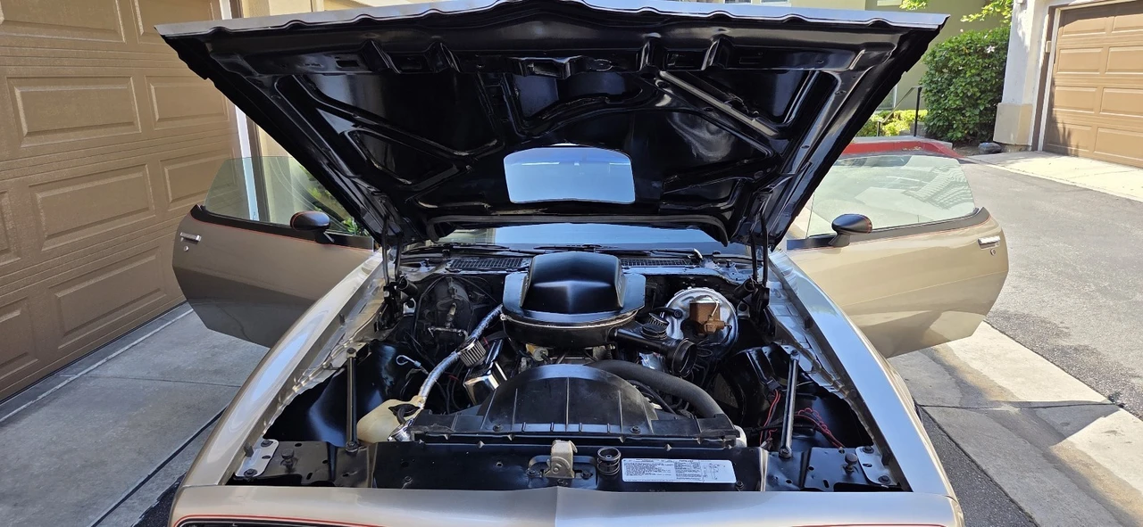 1978 Pontiac Firebird Trans Am 2nd Gen - Image 29 of 31