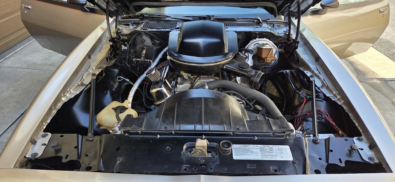 1978 Pontiac Firebird Trans Am 2nd Gen - Image 31 of 31