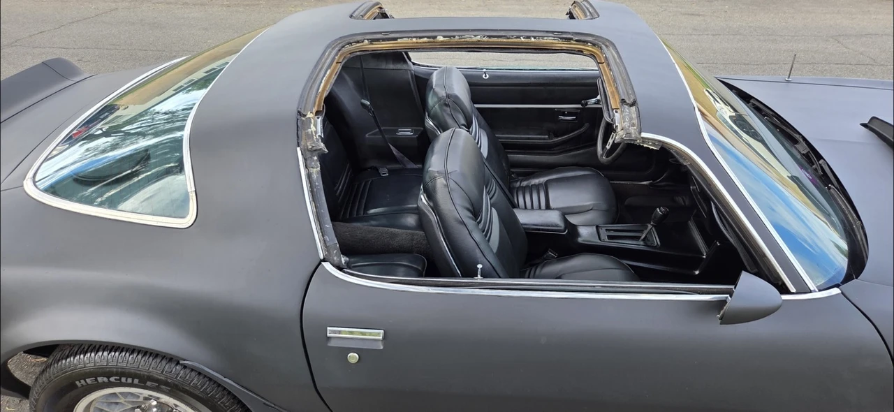1978 Pontiac Firebird Trans Am 2nd Gen - Image 30 of 31