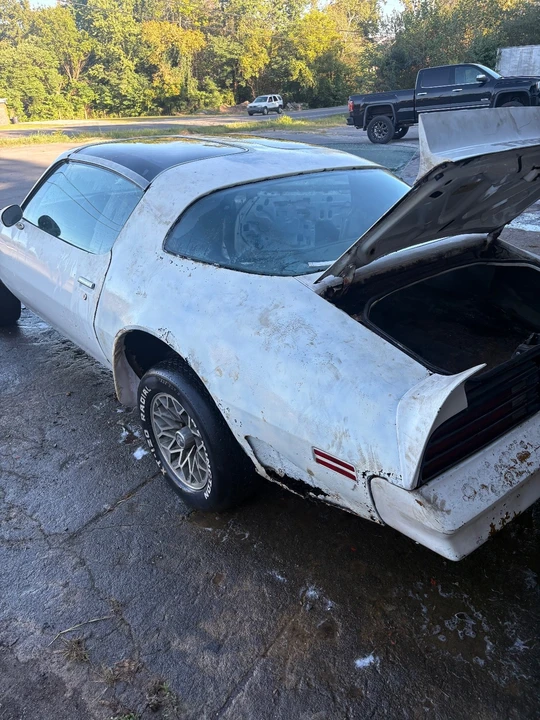 1978 Pontiac Firebird Trans Am 2nd Gen - Image 11 of 21