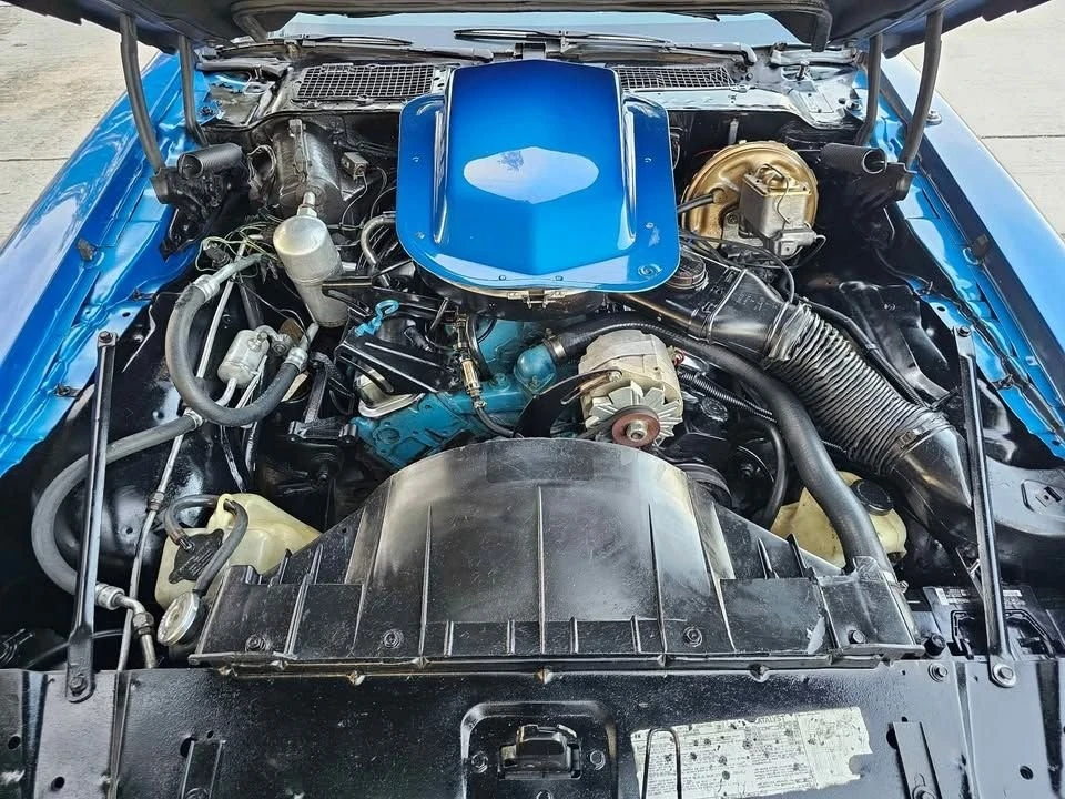 1978 Pontiac Firebird Trans Am 2nd Gen - Image 12 of 12