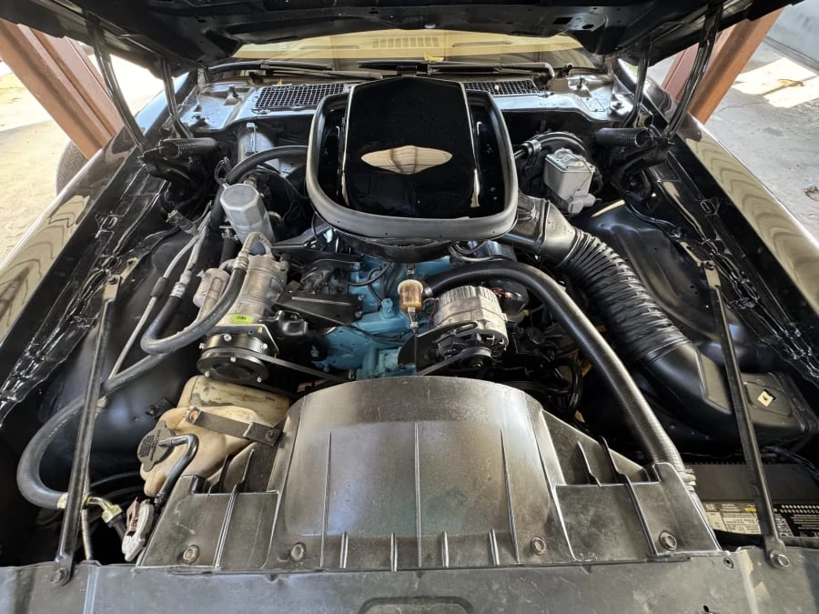 1978 Pontiac Firebird Trans Am 2nd Gen - Image 9 of 9