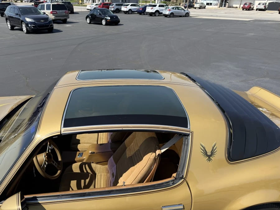 1978 Pontiac Firebird Trans Am 2nd Gen - Image 18 of 18