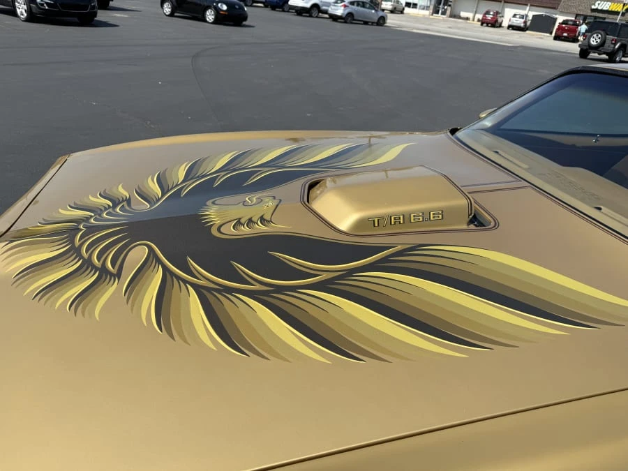 1978 Pontiac Firebird Trans Am 2nd Gen - Image 7 of 18