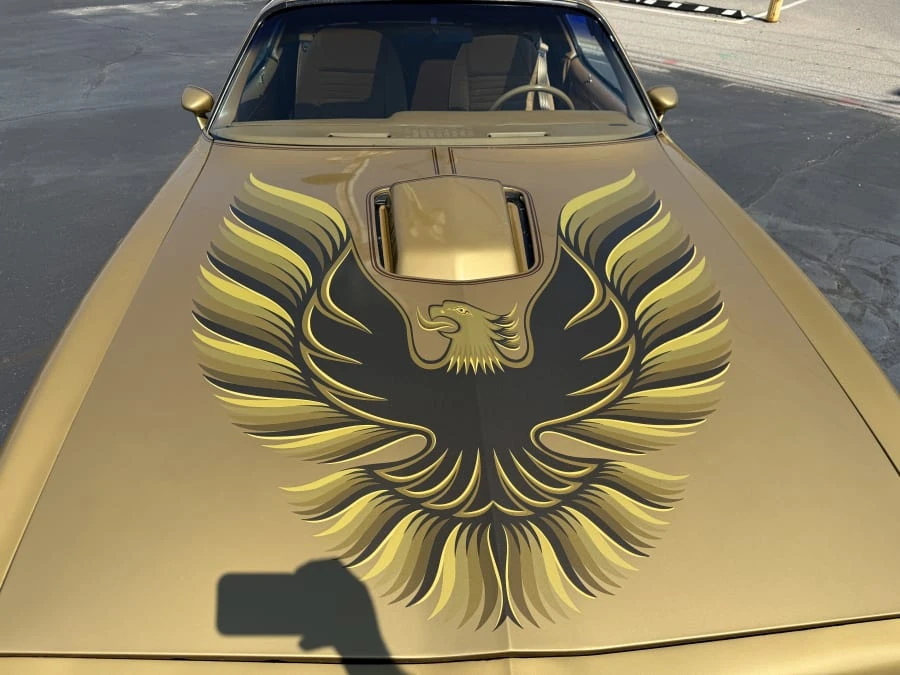 1978 Pontiac Firebird Trans Am 2nd Gen - Image 4 of 18