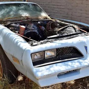 1978 Pontiac Firebird Trans Am