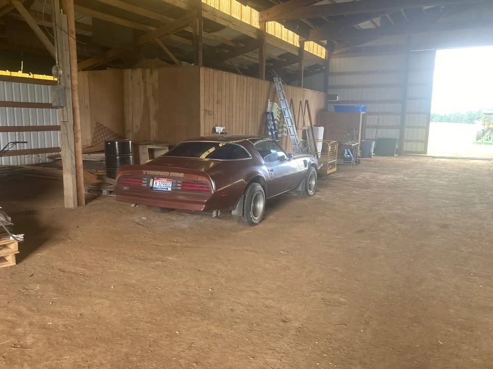 1978 Pontiac Firebird Trans Am 2nd Gen - Image 7 of 14