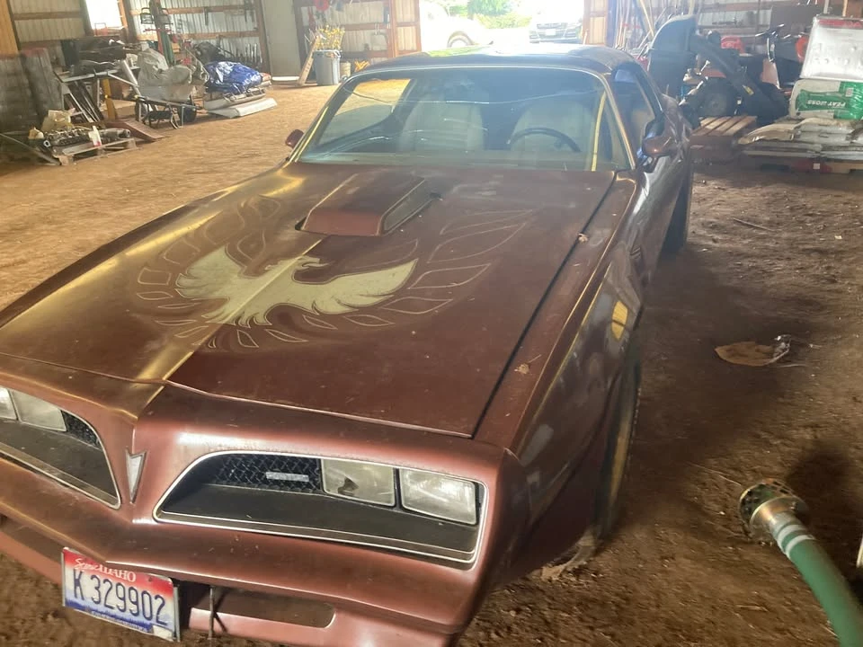 1978 Pontiac Firebird Trans Am 2nd Gen - Image 13 of 14