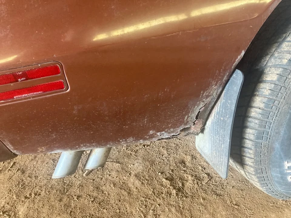 1978 Pontiac Firebird Trans Am 2nd Gen - Image 8 of 14