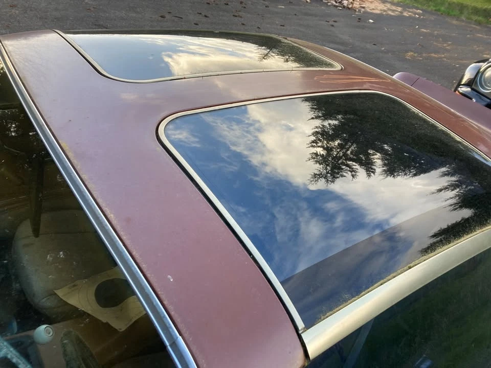 1978 Pontiac Firebird Trans Am 2nd Gen - Image 3 of 14