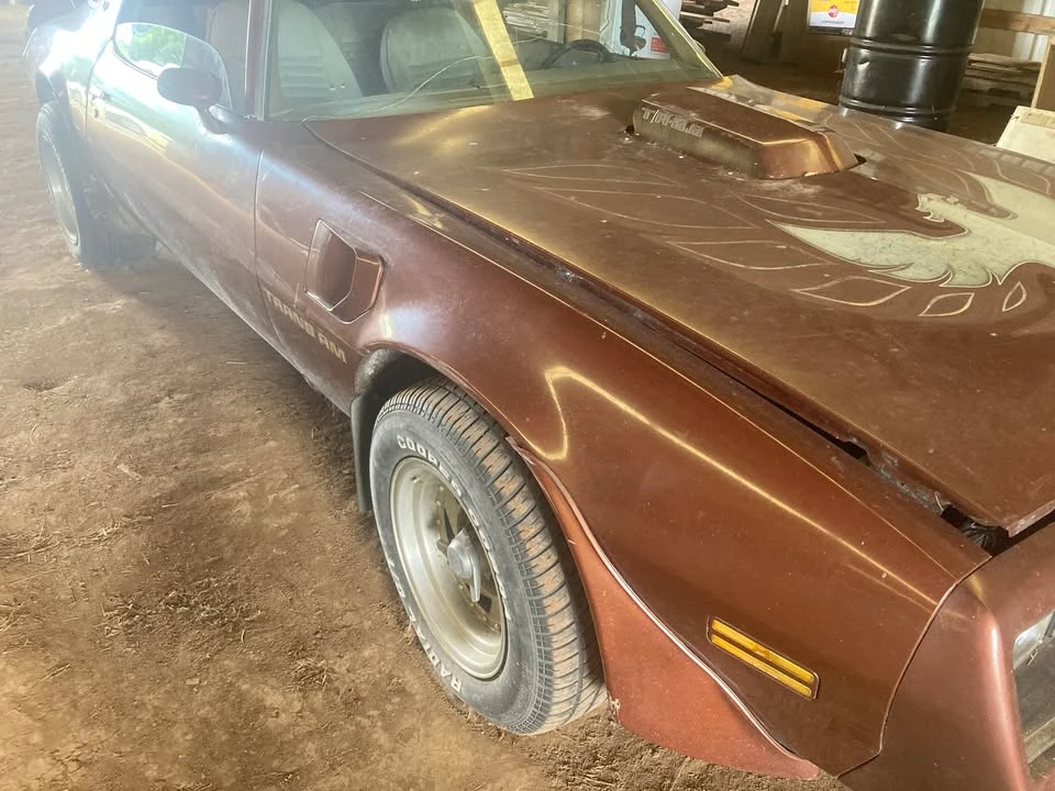 1978 Pontiac Firebird Trans Am 2nd Gen - Image 14 of 14