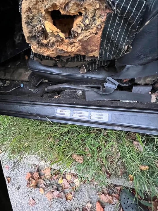 1978 Porsche 928 - Image 12 of 18
