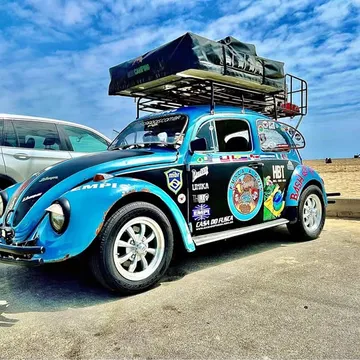 1978 Volkswagen Beetle