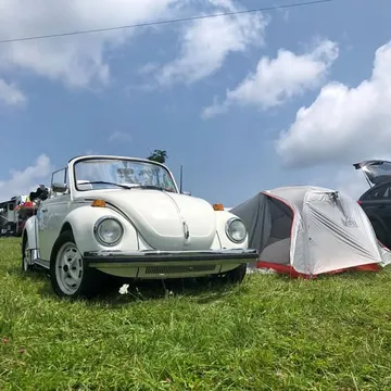 1978 Volkswagen Beetle 1.8T Classic Convertible 2D