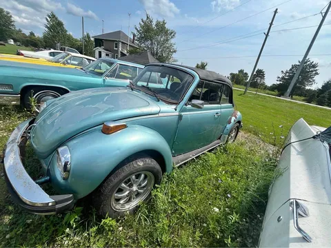 1978 Volkswagen Beetle