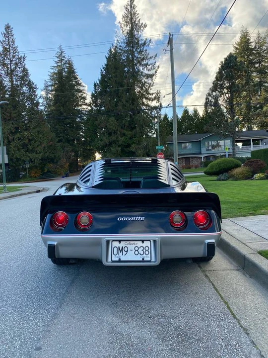 1978 Chevrolet Corvette C3 - Image 6 of 12