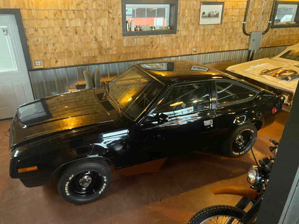 1979 AMC AMX - Image 13 of 14