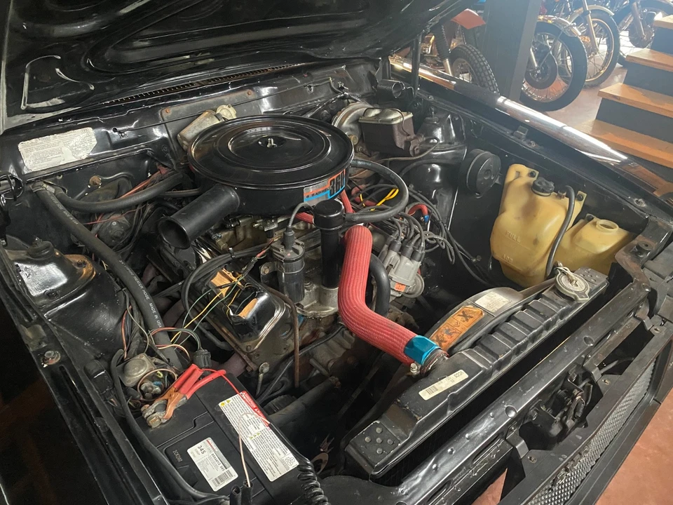 1979 AMC AMX - Image 6 of 14